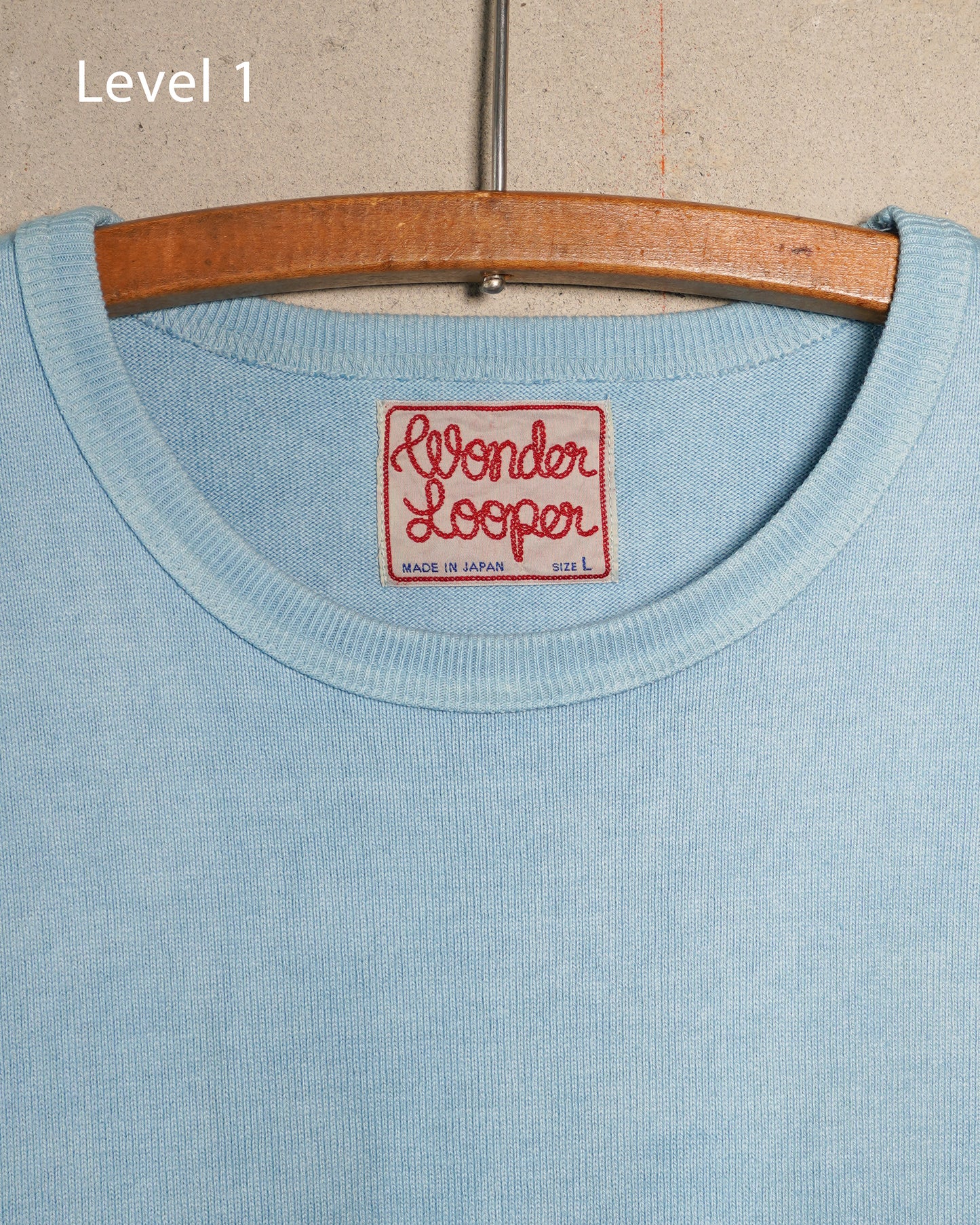 Tokushima Natural Indigo Hand-Dyed Double Heavyweight T-Shirt Level 1 | Wonder Looper