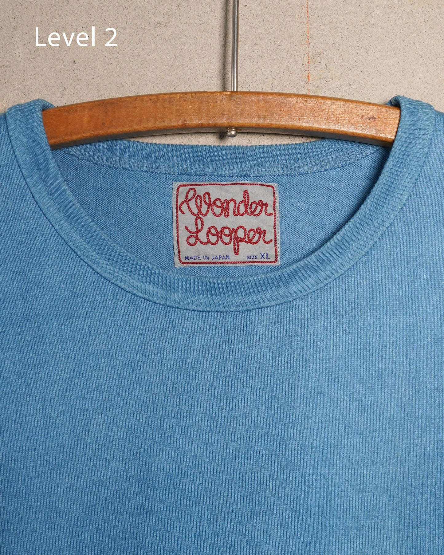 Tokushima Natural Indigo Hand-Dyed Double Heavyweight T-Shirt Level 2 | Wonder Looper